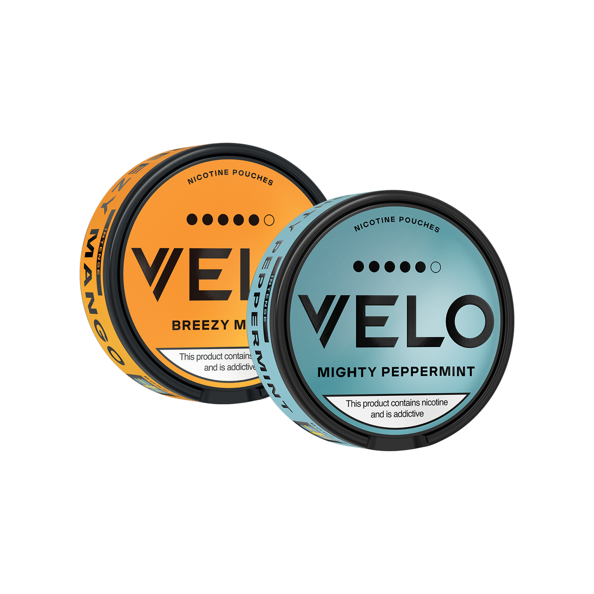 All flavours - Velo Intense 14mg Nicotine Pouches 5-Pack | Velo | Shop Buy Online | Cape Town, Joburg, Durban, South Africa