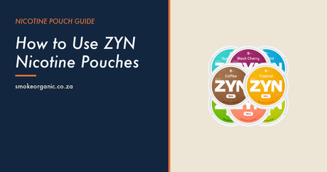 How to Use ZYN Nicotine Pouches - Smoke Organic Store