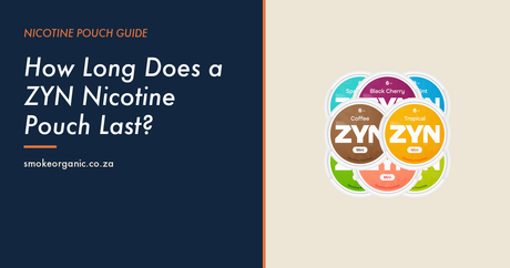How Long Does a ZYN Nicotine Pouch Last? - Smoke Organic Store