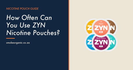 How Often Can You Use ZYN Nicotine Pouches? - Smoke Organic Store