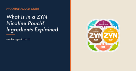 What Is in a ZYN Nicotine Pouch? Ingredients Explained - Smoke Organic Store