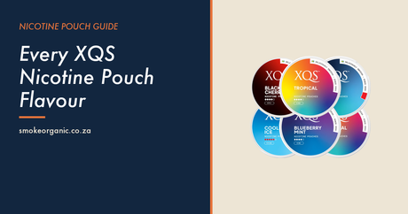 Every XQS Nicotine Pouch Flavour - Smoke Organic Store