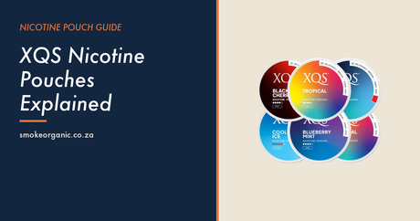 XQS Nicotine Pouches Explained - Smoke Organic Store