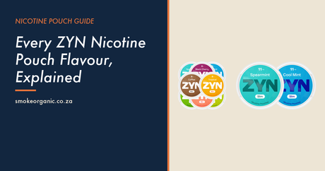 Every ZYN Nicotine Pouch Flavour, Explained - Smoke Organic Store