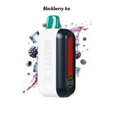 Blackberry Ice Nasty Bar X 14000 Disposable Vape - 5% | NASTY | Shop Buy Online | Cape Town, Joburg, Durban, South Africa