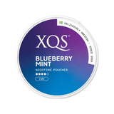 Blueberry Mint (8mg) XQS Nicotine Pouches 8 - 11mg | XQS | Shop Buy Online | Cape Town, Joburg, Durban, South Africa