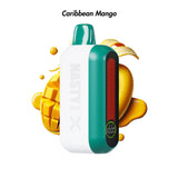 Caribbean Mango Nasty Bar X 14000 Disposable Vape - 5% | NASTY | Shop Buy Online | Cape Town, Joburg, Durban, South Africa