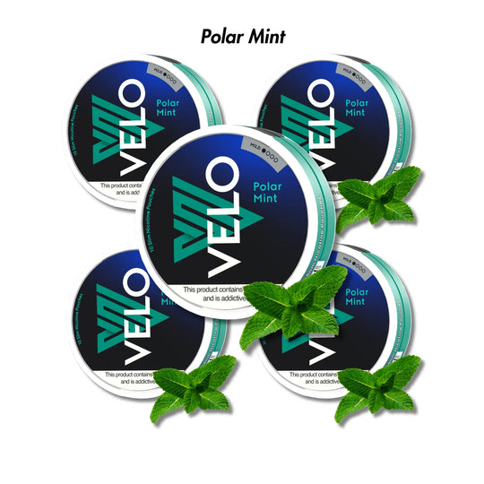 Polar Mint 5 - Pack VELO Nicotine Pouches Bundle - Mild 4mg | Velo | Shop Buy Online | Cape Town, Joburg, Durban, South Africa