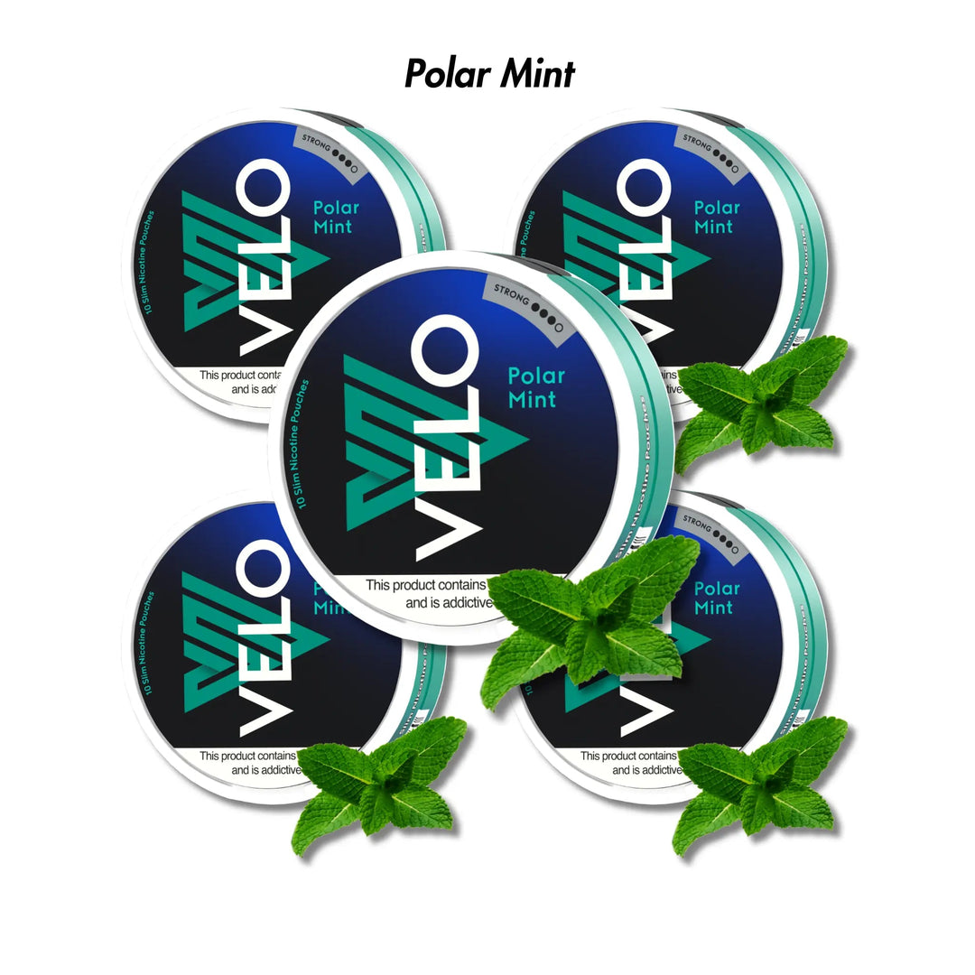 Polar Mint 5 - Pack VELO Nicotine Pouches Bundle - Strong 10mg | Velo | Shop Buy Online | Cape Town, Joburg, Durban, South Africa