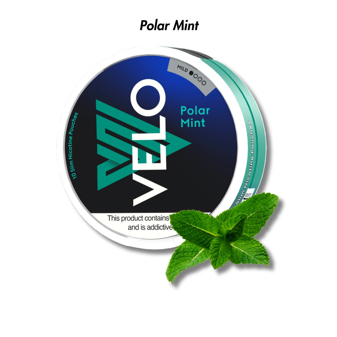 Polar Mint Velo Nicotine Pouches - Mild 4mg | Velo | Shop Buy Online | Cape Town, Joburg, Durban, South Africa