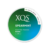 Spearmint (8mg) XQS Nicotine Pouches 8 - 11mg | XQS | Shop Buy Online | Cape Town, Joburg, Durban, South Africa